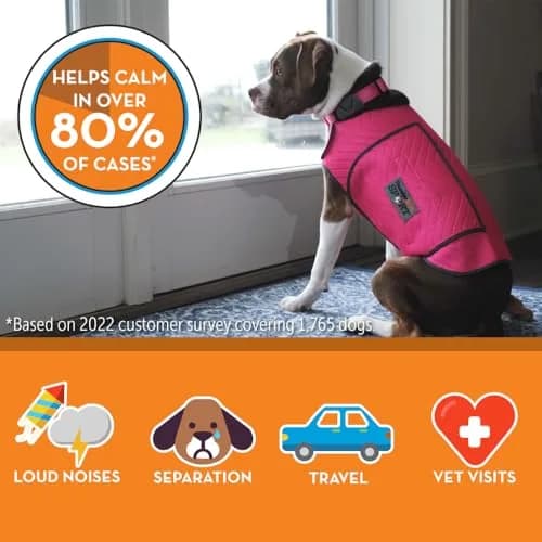 Thundershirt Dog Anxiety Vest Large Fuchsia Sport | Calms Separation Anxiety & Fear thumbnail 3
