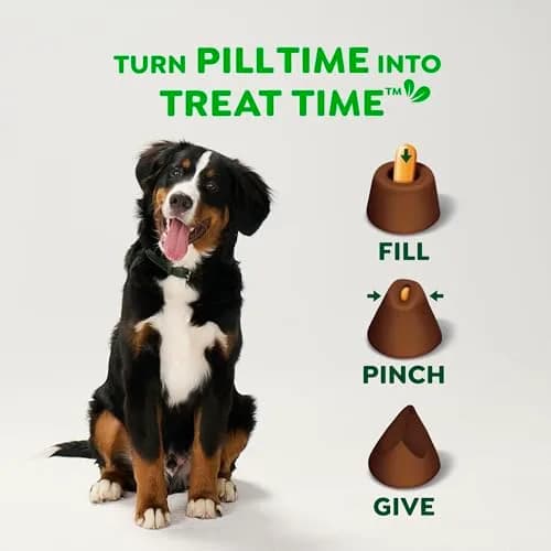 Greenies Pill Pockets Large Size Dog Treats Hickory Smoke 60 Count (15.8 oz / 448 g) | Vet-Recommended Pill Masking Treat thumbnail 7