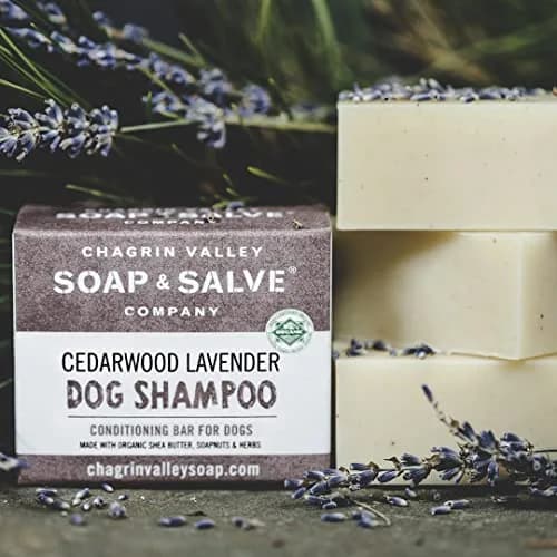 Chagrin Valley Soap & Salve Organic Dog Shampoo & Conditioner 3.8 oz | Itchy Skin Relief & Puppy Care thumbnail 7