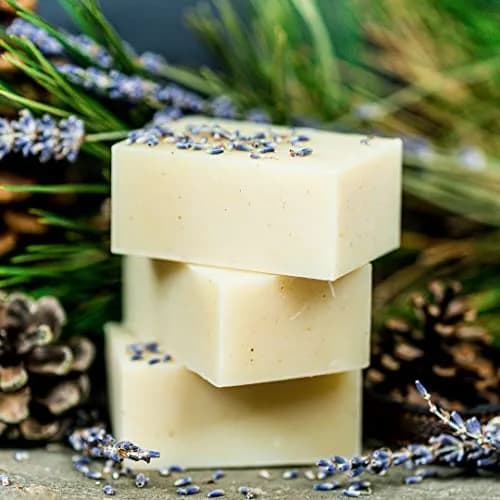 Chagrin Valley Soap & Salve Organic Dog Shampoo & Conditioner 3.8 oz | Itchy Skin Relief & Puppy Care thumbnail 2