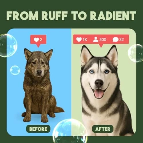 TropiClean Lime & Cocoa Butter Shed Control Dog & Cat Conditioner 591ml (20 Fl Oz) | Reduces Shedding, Softens Coat thumbnail 5
