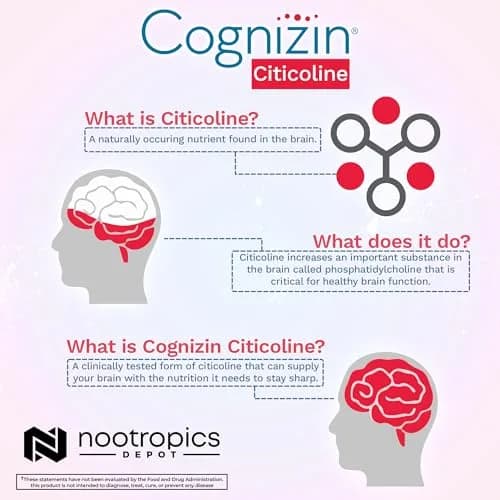 Nootropics Depot Cognizin Citicoline Capsules | 180 Count | Brain Health Supplement | Supports Focus & Memory thumbnail 5