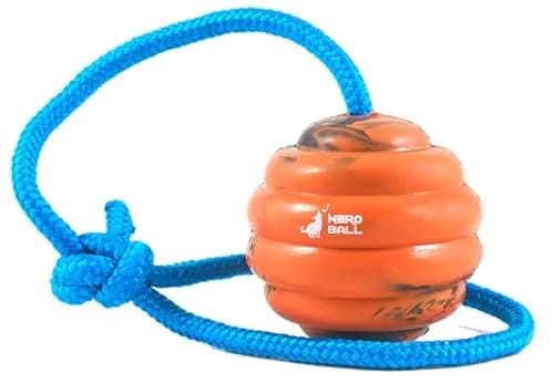 The Nero Ball Pro K-9 Dog Training Ball on Rope – 2.75″ Heavy-Duty Natural Rubber Reward & Tug Toy with Nylon Handle thumbnail 1