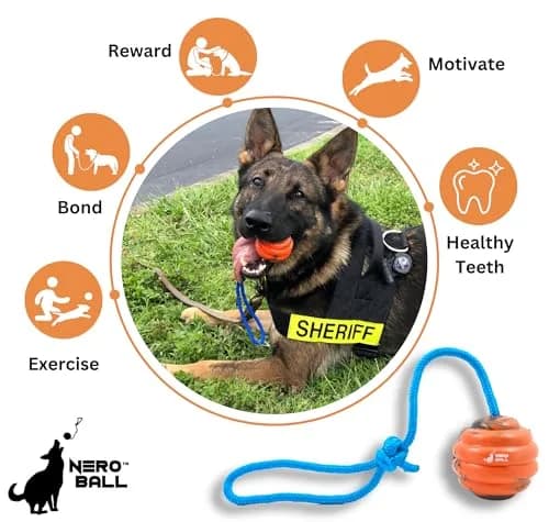 The Nero Ball Pro K-9 Dog Training Ball on Rope – 2.75″ Heavy-Duty Natural Rubber Reward & Tug Toy with Nylon Handle thumbnail 5