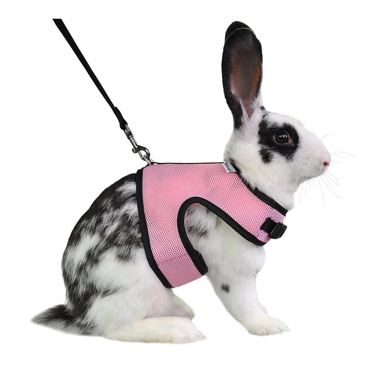 Niteangel Adjustable Soft Harness with Elastic Leash for Rabbits (L, Blue) | Escape-Proof Mesh Vest for Small Pets — Pink / L