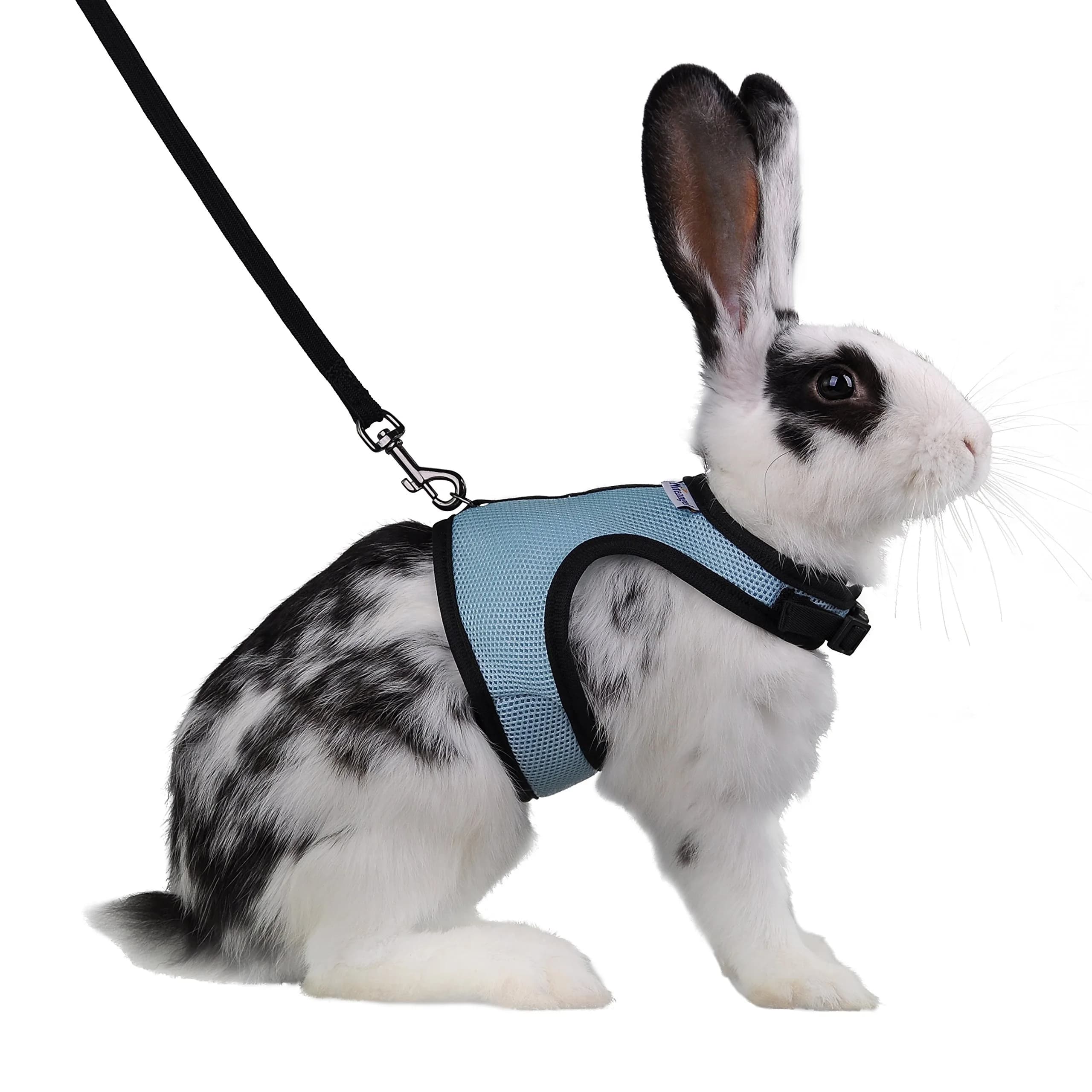 Niteangel Adjustable Soft Harness with Elastic Leash for Rabbits (L, Blue) | Escape-Proof Mesh Vest for Small Pets - main product image