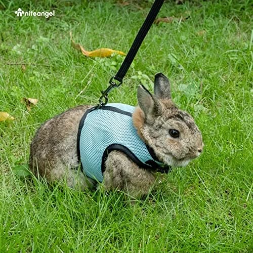 Niteangel Adjustable Soft Harness with Elastic Leash for Rabbits (L, Blue) | Escape-Proof Mesh Vest for Small Pets thumbnail 5