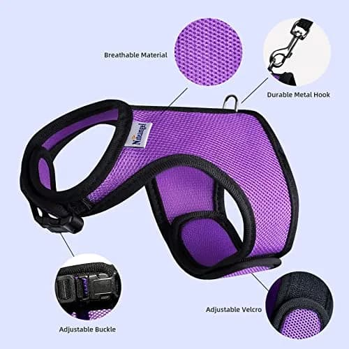 Niteangel Adjustable Soft Harness with Elastic Leash for Rabbits (L, Blue) | Escape-Proof Mesh Vest for Small Pets thumbnail 2