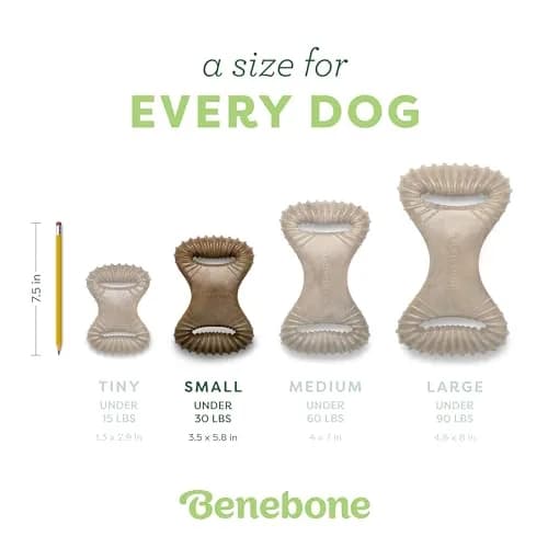 Benebone Dental Durable Dog Chew Toy for Aggressive Chewers, Real Chicken, Made in USA, Small thumbnail 4