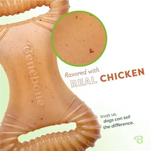 Benebone Dental Durable Dog Chew Toy for Aggressive Chewers, Real Chicken, Made in USA, Small thumbnail 2