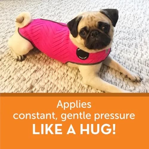 Thundershirt for Dogs Calming Anxiety Vest XX-Small Fuchsia Sport | Patented Pressure Wrap for Stress Relief thumbnail 4