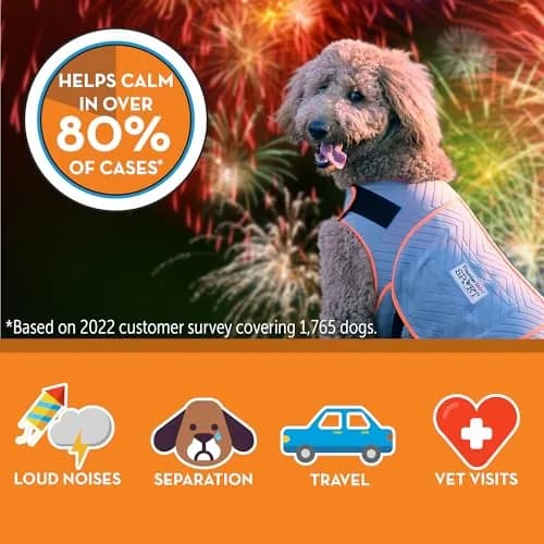 Thundershirt Dog Anxiety Vest XX-Small Platinum Sport | Calms Separation Anxiety & Fear thumbnail 4