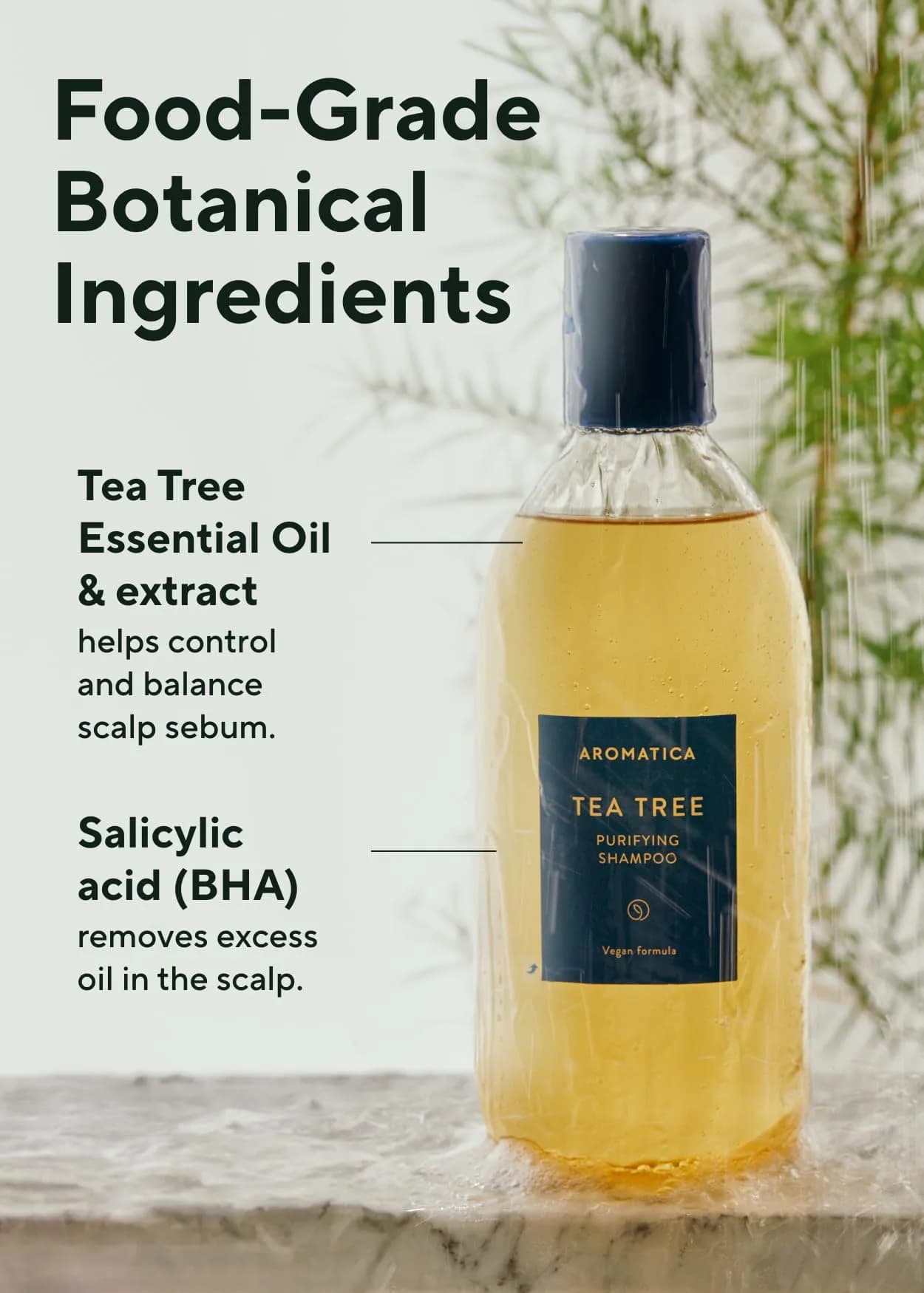 AROMATICA Purifying Tea Tree Shampoo for Oily Scalp & Hair 400ml (13.53 Fl Oz) | Clarifying & Cooling - view 3