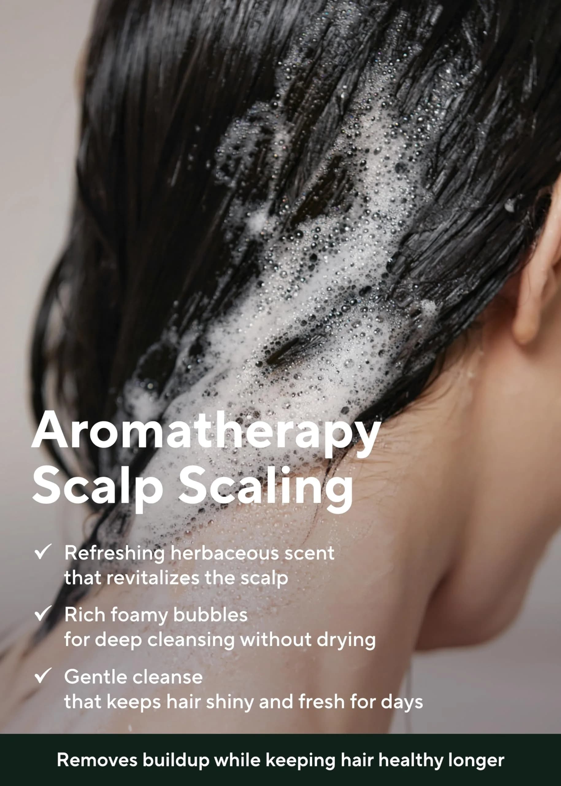 AROMATICA Purifying Tea Tree Shampoo for Oily Scalp & Hair 400ml (13.53 Fl Oz) | Clarifying & Cooling - view 4