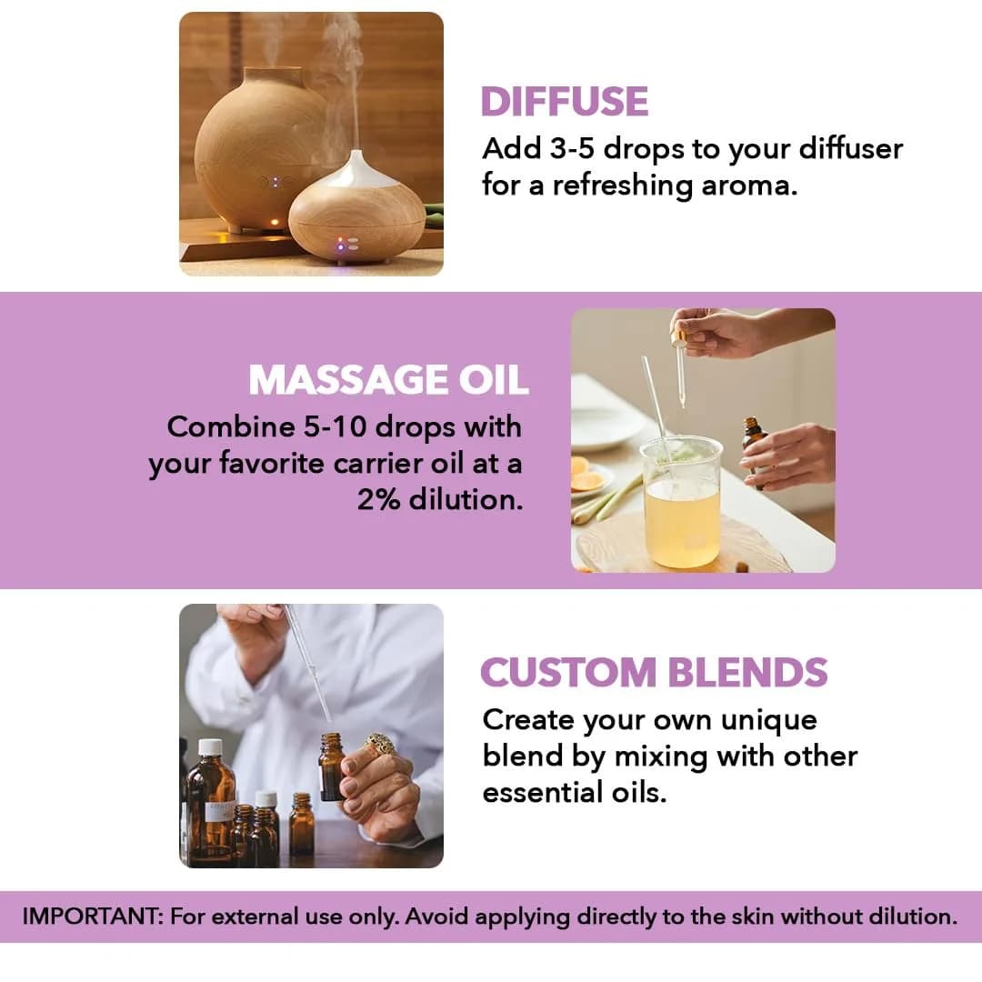 Majestic Pure Lavender Essential Oil 30ml (1 Fl Oz) | Pure & Natural Aromatherapy Oil thumbnail 4