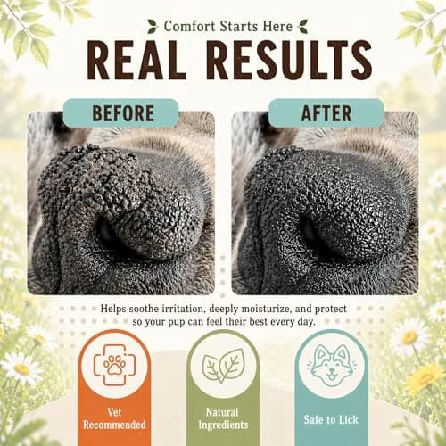 Natural Dog Company Snout Soother Dog Nose Balm – 2 oz Stick | Nourishing, Vegan & Non-Toxic Nose Care thumbnail 2