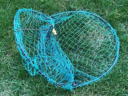 Alemon 12-inch Humane Bird Trap | Protects Crops, Catches Pigeons & Quail thumbnail 6