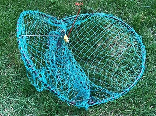 Alemon 12-inch Humane Bird Trap | Protects Crops, Catches Pigeons & Quail thumbnail 4