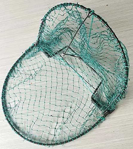 Alemon 12-inch Humane Bird Trap | Protects Crops, Catches Pigeons & Quail thumbnail 5