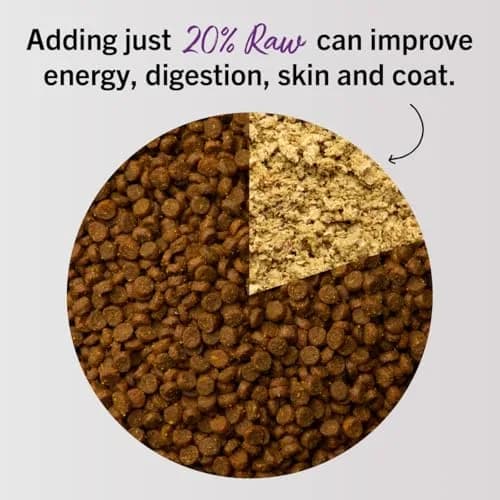 Stella & Chewy's Freeze-Dried Raw Duck & Goose Cat Food 227 g (8 oz) | Complete Nutrition for All Life Stages thumbnail 5