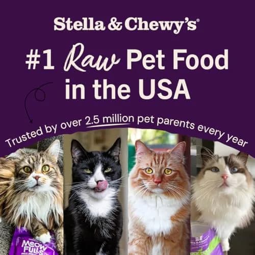 Stella & Chewy's Freeze-Dried Raw Chicken Cat Food Morsels 227 g (8 oz) | Complete Nutrition for All Life Stages thumbnail 7