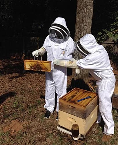 Buzz Beekeeping Supplies Medium Ventilated Bee Gloves - Cow Leather & Heavy-Duty Canvas, Elastic Cuffs | Sting Proof, Long Sleeves thumbnail 3