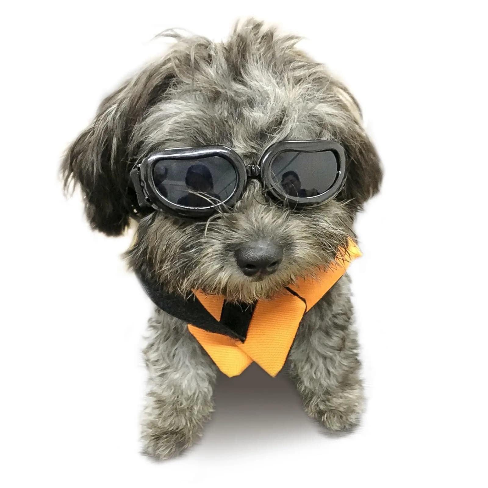 Enjoying Gloss Pink Dog Goggles for Medium Breeds | UV Protection, Windproof & Adjustable — Classic Black / Small Breeds