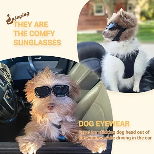 Enjoying Black Classic Dog Goggles for Small Breeds | UV Protection, Windproof, Adjustable Straps (5.9" L x 2" W x 1.7" H) thumbnail 7