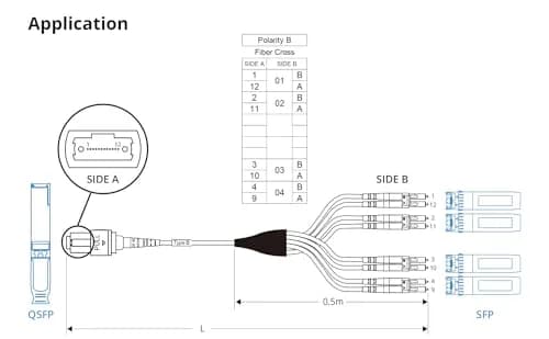 10Gtek Fiber Optic Cable Patch Cord MPO to 8xLC Fanout 1m | OM3 MMF 8-core Application for QSFP+ Transceivers thumbnail 7