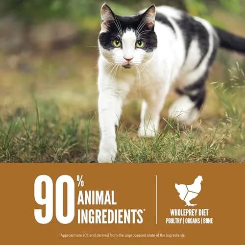 ORIJEN Original Grain-Free Dry Cat Food 5.51 kg (12 lb) | High Protein Biologically Appropriate Formula thumbnail 5