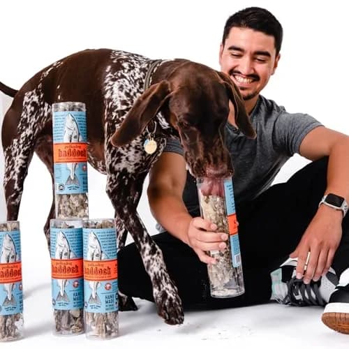 Polkadog Crunchy Haddock Skins Dog Treats | Single-Ingredient, 1lb | Omega-3 Rich, Hypoallergenic, Grain-Free thumbnail 6