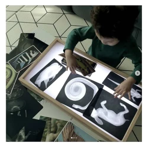 Roylco Animal X-Rays Science Set – 28 Pieces, 14 Authentic X-Rays & Matching Photo Cards, 8" x 10" | Animal Anatomy & Radiology Learning thumbnail 4