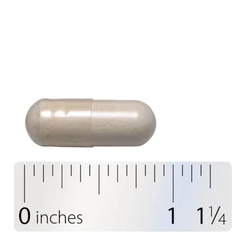 Nature's Way Fortify Women’s Probiotic 30 Billion CFU | Supports Digestive, Vaginal & Immune Health in Women thumbnail 8