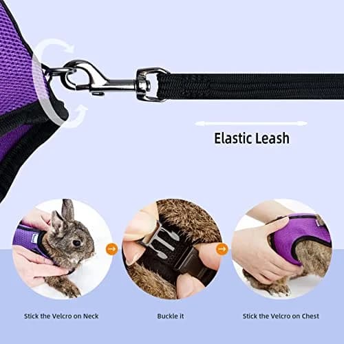 Niteangel Adjustable Soft Harness with Elastic Leash for Rabbits (L, Black) | Escape-Proof & Breathable Mesh thumbnail 4