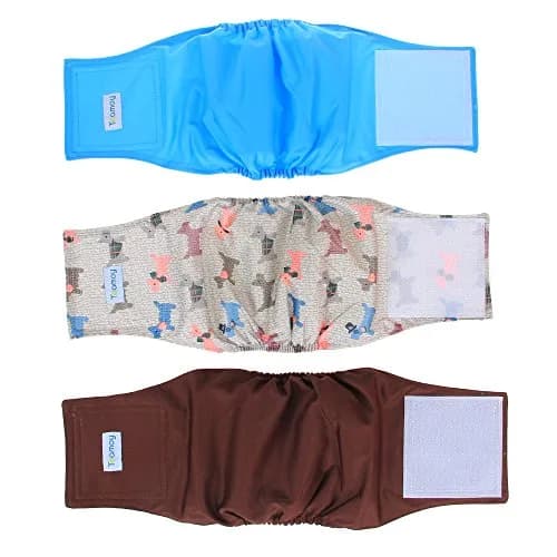 Teamoy Reusable Dog Diapers for Male Dogs, Pack of 3 Medium Belly Bands | Washable & Leak-Proof for Incontinence & Training thumbnail 1