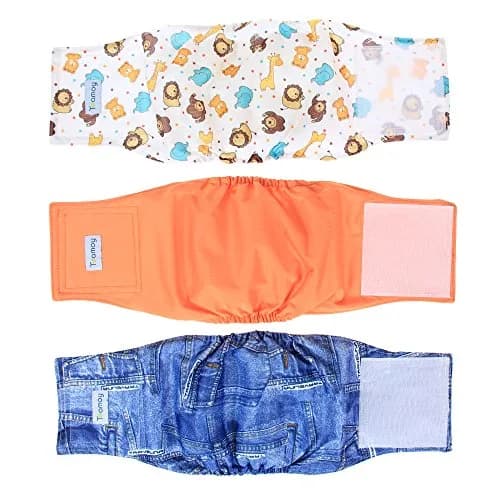 Teamoy Reusable Male Dog Belly Band, Wrap Dog Diapers, Pack of 3, Medium | Leak-Proof, Adjustable Fit for Male Dogs thumbnail 1