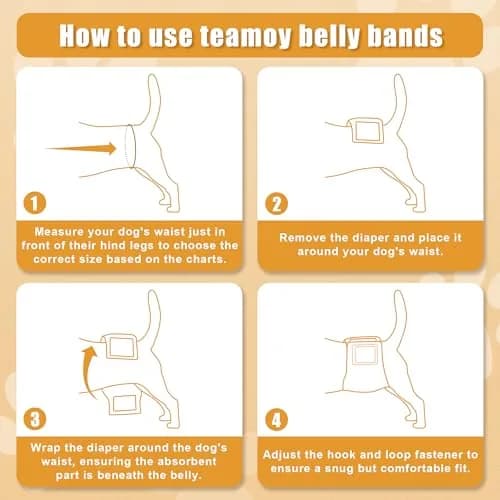 Teamoy Reusable Male Dog Belly Band, Pack of 3 X-Small | Washable Dog Pee Wraps for Spot Marking & Incontinence thumbnail 4