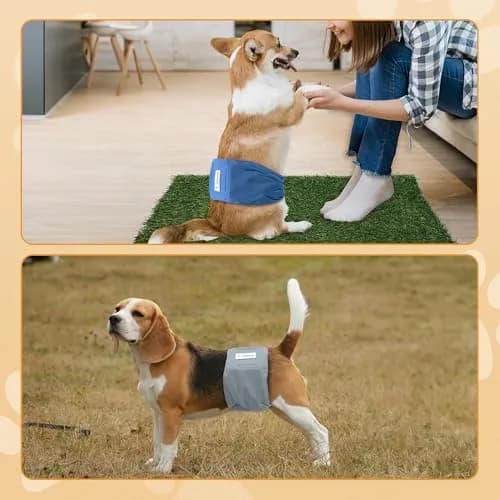 Teamoy Reusable Male Dog Belly Band, Pack of 3 X-Small | Washable Dog Pee Wraps for Spot Marking & Incontinence thumbnail 7