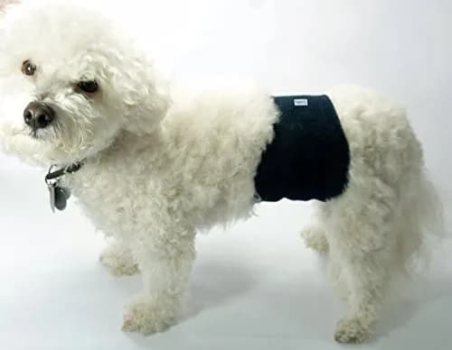 Teamoy Reusable Male Dog Belly Band, Pack of 3 Small | Washable Dog Diapers for Male Dogs, 10"-13" Waist thumbnail 8