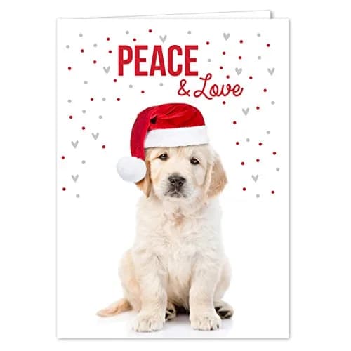 Canopy Street Labrador Love Holiday Card Pack / 25 Cards & Envelopes | Festive Puppy Design, Dog Christmas & New Year Cards thumbnail 1