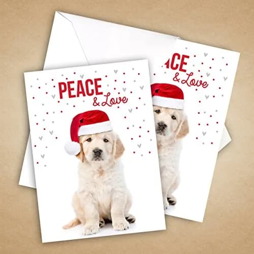Canopy Street Labrador Love Holiday Card Pack / 25 Cards & Envelopes | Festive Puppy Design, Dog Christmas & New Year Cards thumbnail 6