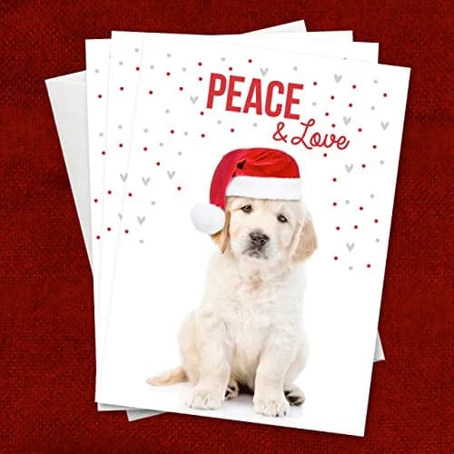Canopy Street Labrador Love Holiday Card Pack / 25 Cards & Envelopes | Festive Puppy Design, Dog Christmas & New Year Cards thumbnail 8