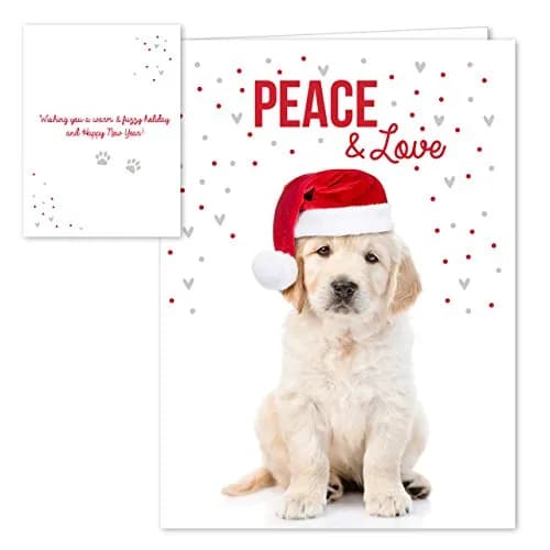 Canopy Street Labrador Love Holiday Card Pack / 25 Cards & Envelopes | Festive Puppy Design, Dog Christmas & New Year Cards thumbnail 2