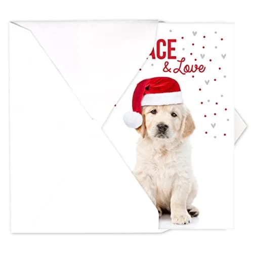 Canopy Street Labrador Love Holiday Card Pack / 25 Cards & Envelopes | Festive Puppy Design, Dog Christmas & New Year Cards thumbnail 3