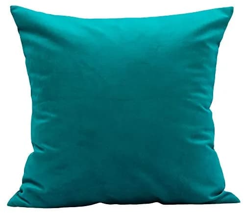 TangDepot Super Soft Velvet Throw Pillow Cover 20x20 | Luxuriously Plush & Elegant (70-120 chars) thumbnail 1