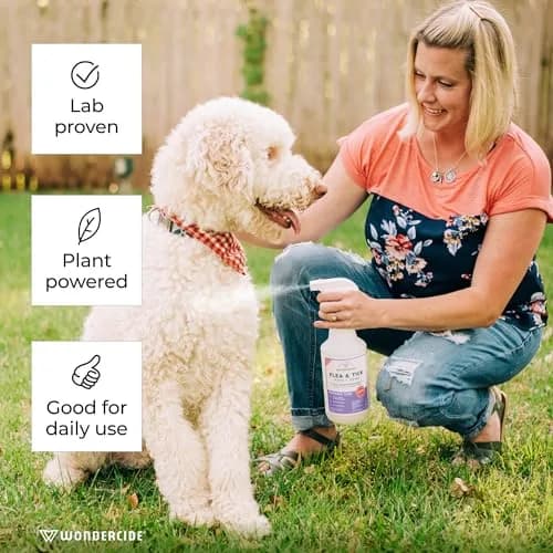 Wondercide Flea Tick & Mosquito Spray for Pets & Home - Rosemary 16 fl oz | Natural Plant Powered Pest Control thumbnail 3