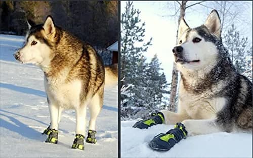 TRUE LOVE Dog Shoes Waterproof Anti-Slip Rain Boots Neon Yellow | Reflective Soft-Shell with Mud Guard (7#) thumbnail 5
