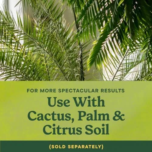 Miracle-Gro Shake 'N Feed Palm Plant Food 4.5 lb. | Supports lush palms & tropical plants thumbnail 4