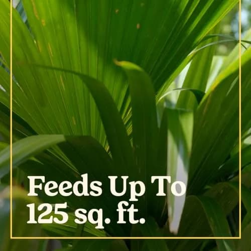 Miracle-Gro Shake 'N Feed Palm Plant Food 4.5 lb. | Supports lush palms & tropical plants thumbnail 3