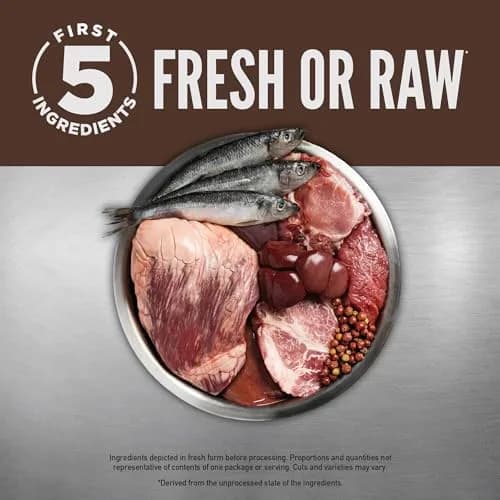 ORIJEN Grain Free WHOLEPREY Dry Cat Food Regional Red Recipe 12lb | High Protein, Raw & Fresh Ingredients thumbnail 4